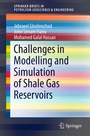 Cover: Challenges in Modelling and Simulation of Shale Gas Reservoirs - Springer