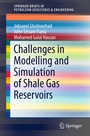 Cover: Challenges in Modelling and Simulation of Shale Gas Reservoirs - Springer
