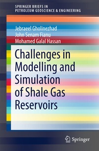 Enlarge image Cover: Challenges in Modelling and Simulation of Shale Gas Reservoirs - Springer