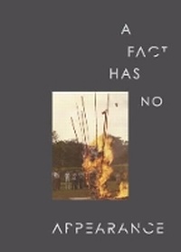 Enlarge image Cover: A Fact Has No Appearance - National Gallery Singapore