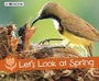 Cover: Let's Look at Spring - Raintree