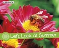 Cover: Let's Look at Summer - Raintree