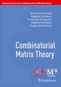 Cover: Combinatorial Matrix Theory - Birkh&auml;user