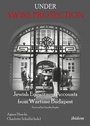Cover: Under Swiss Protection - ibidem