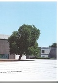 Cover: Saarlandmuseum, Moderne Galerie - Stiftung Saarl&auml;ndischer Kulturbesitz