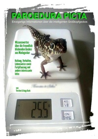 Abbildung von: PAROEDURA PICTA - Großkopfgeckos - epubli
