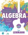 Cover: Elementary & Intermediate Algebra - Pearson