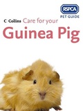 Cover: Care for your Guinea Pig - Collins