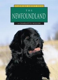 Enlarge image Cover: The Newfoundland - Capstone Press