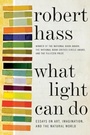 Cover: What Light Can Do - HarperCollins