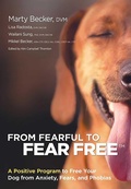 Cover: From Fearful to Fear Free - Health Communications