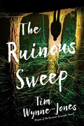 Cover: The Ruinous Sweep - Candlewick Press,U.S.