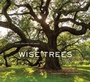 Cover: Wise Trees - Abrams