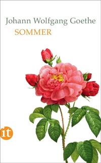Abbildung von: Sommer - Insel