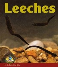 Enlarge image Cover: Leeches - Lerner Publications