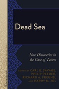 Cover: Dead Sea - Peter Lang Verlag