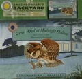 Cover: Screech Owl at Midnight Hollow - Soundprints