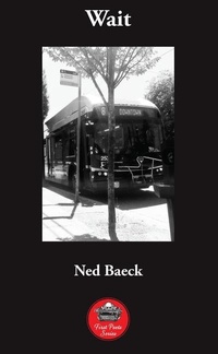 Enlarge image Cover: Wait - Guernica Editions,Canada