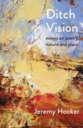 Cover: Ditch Vision 2017 - Awen Publications