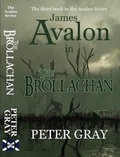 Cover: The Brollachan: The Avalon Series 3 - Tricky Imp Publishing