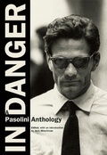 Cover: In Danger - City Lights Books