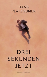 Abbildung von: Drei Sekunden Jetzt - Zsolnay