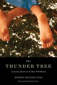 Enlarge image Cover: Thunder Tree - Oregon State University