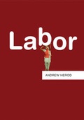 Cover: Labor - Polity Press