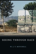 Cover: Seeing Through Race - Harvard University Press
