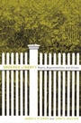 Cover: Ordered Liberty - Harvard University Press