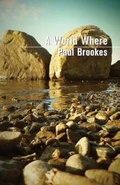 Cover: A World Where - Nixes Mate Books