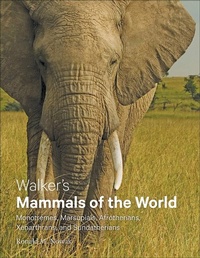 Abbildung von: Walker's Mammals of the World - Johns Hopkins University Press