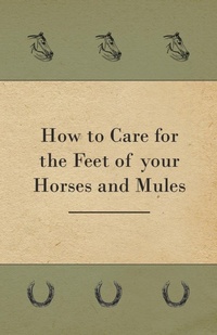 Abbildung von: How to Care for the Feet of your Horses and Mules - Read Books