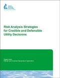 Cover: Risk Analysis Strategies for Credible and Defensible Utility Decisions - American Water Works Association