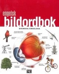Cover: Illustrated Swedish Dictionary: Swedish-English & English-Swedish 2017 - Norstedt
