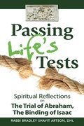 Cover: Passing Life's Tests - Jewish Lights