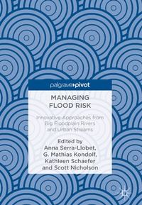 Enlarge image Cover: Managing Flood Risk - Palgrave Macmillan