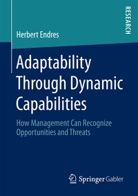 Abbildung von: Adaptability Through Dynamic Capabilities - Springer Gabler