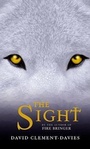 Cover: The Sight - Firebird