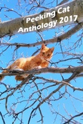 Cover: Peeking Cat Anthology 2017 - Lulu.com