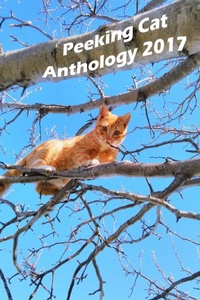 Enlarge image Cover: Peeking Cat Anthology 2017 - Lulu.com