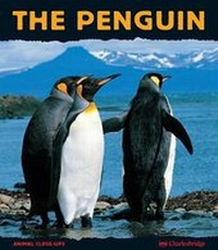 Enlarge image Cover: The Penguin - Charlesbridge Publishing