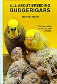 Abbildung von: There's No Business - Ecco Press