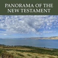 Enlarge image Cover: Panorama of the New Testament - Liturgical Press