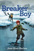 Cover: Breaker Boy - MARGARET K MCELDERRY BOOKS