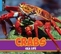 Cover: Crabs - Lightbox