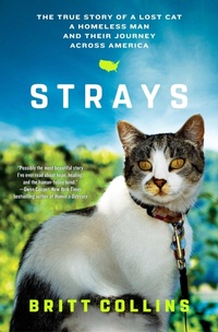 Enlarge image Cover: Strays - Simon & Schuster
