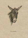 Cover: Sorry Donkey. 6 Cards, Individually Bagged with Envelopes - Laughing Elephant