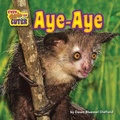 Cover: Aye-Aye - Bearport Books