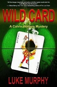 Enlarge image Cover: Wild Card - Imajin Books